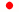 Japanese