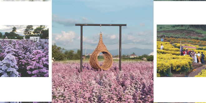 สวนดอกไม้เชียงใหม่
